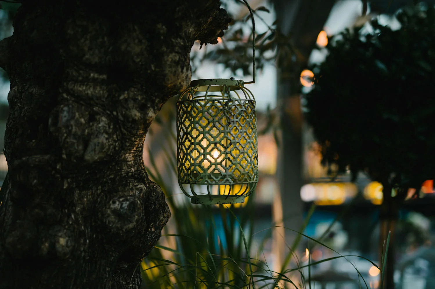  Outdoor wedding in Dublin Ireland 
