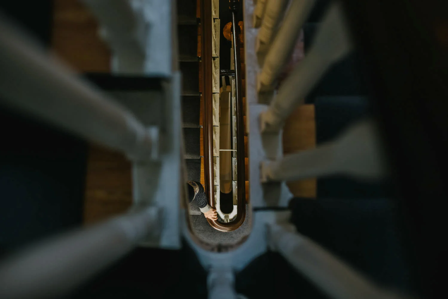  Outdoor wedding in Dublin Ireland 