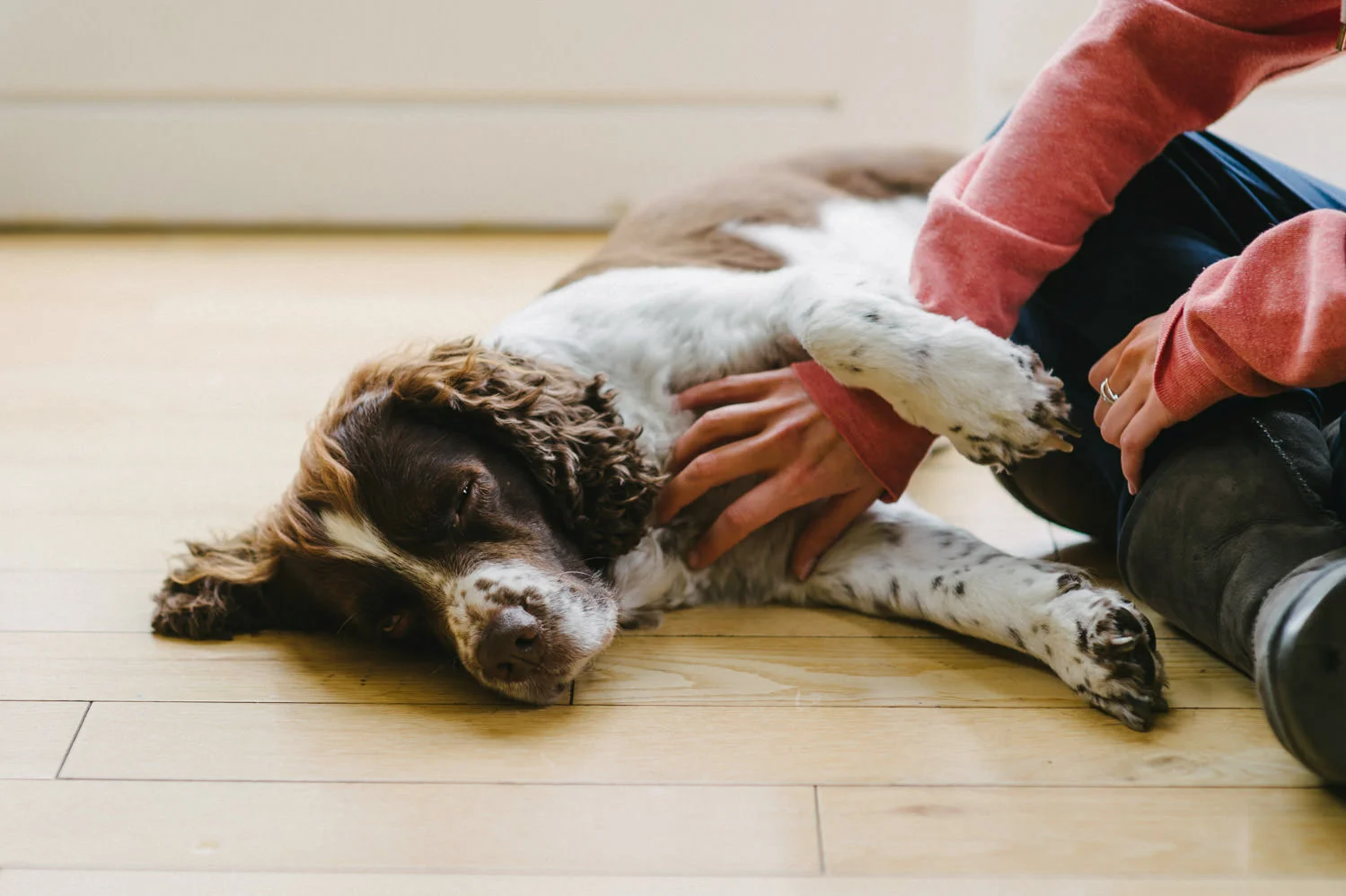  Dublin City Wedding Photos St Patricks Cathedral, Kenyan wedding 