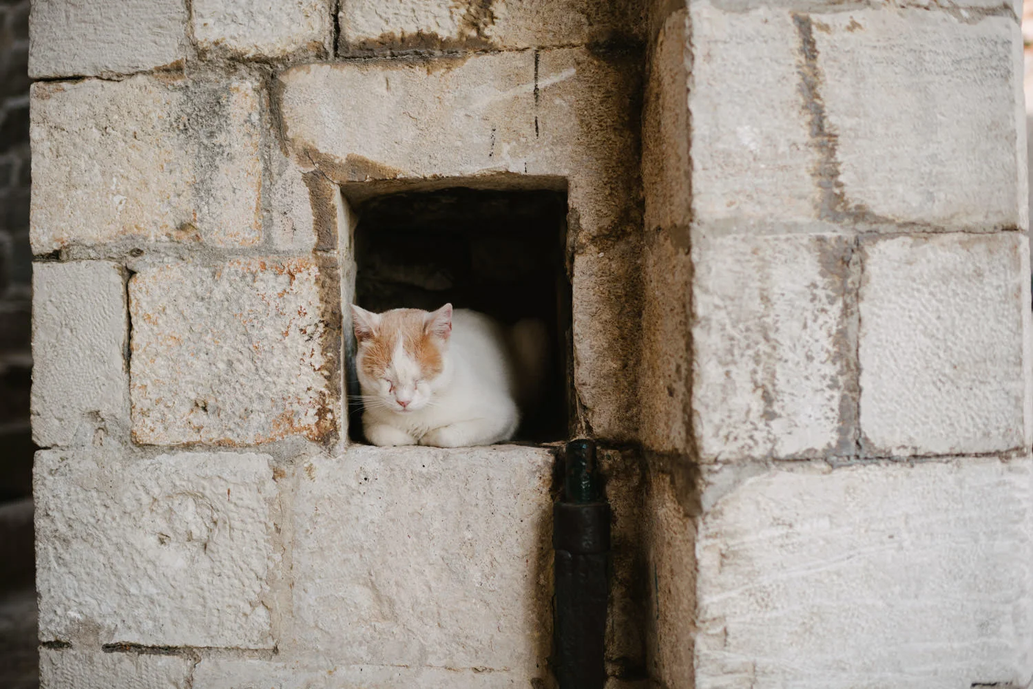  English speaking Wedding photographers Dubrovnik, Croatia. 