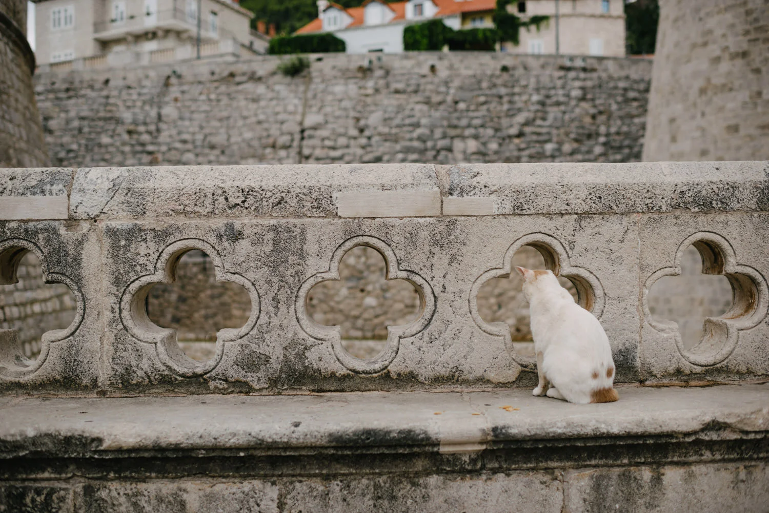  English speaking Wedding photographers Dubrovnik, Croatia. 