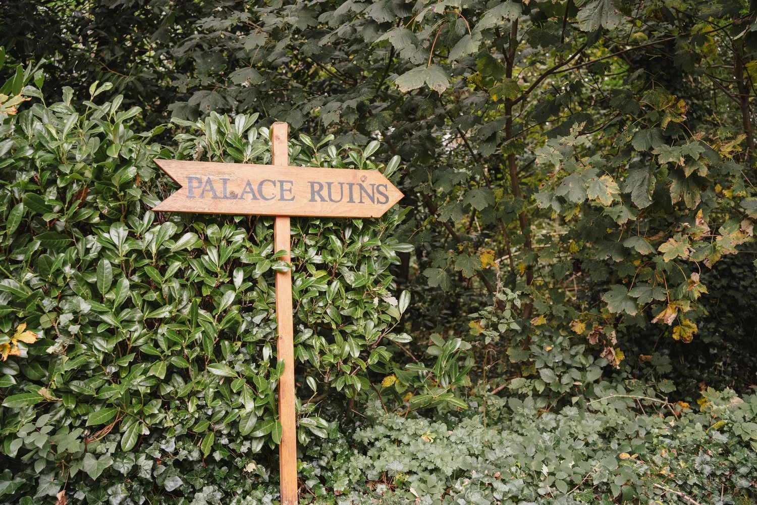 Eimear and Connor Ballyscullion Park Wedding 038.JPG