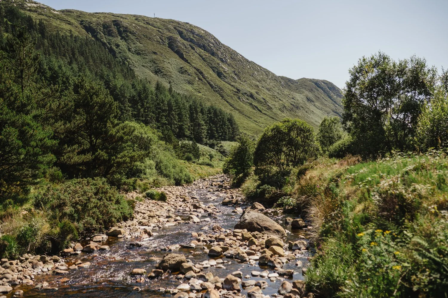 Erin and Oisin Lough Eske Wedding 060.JPG