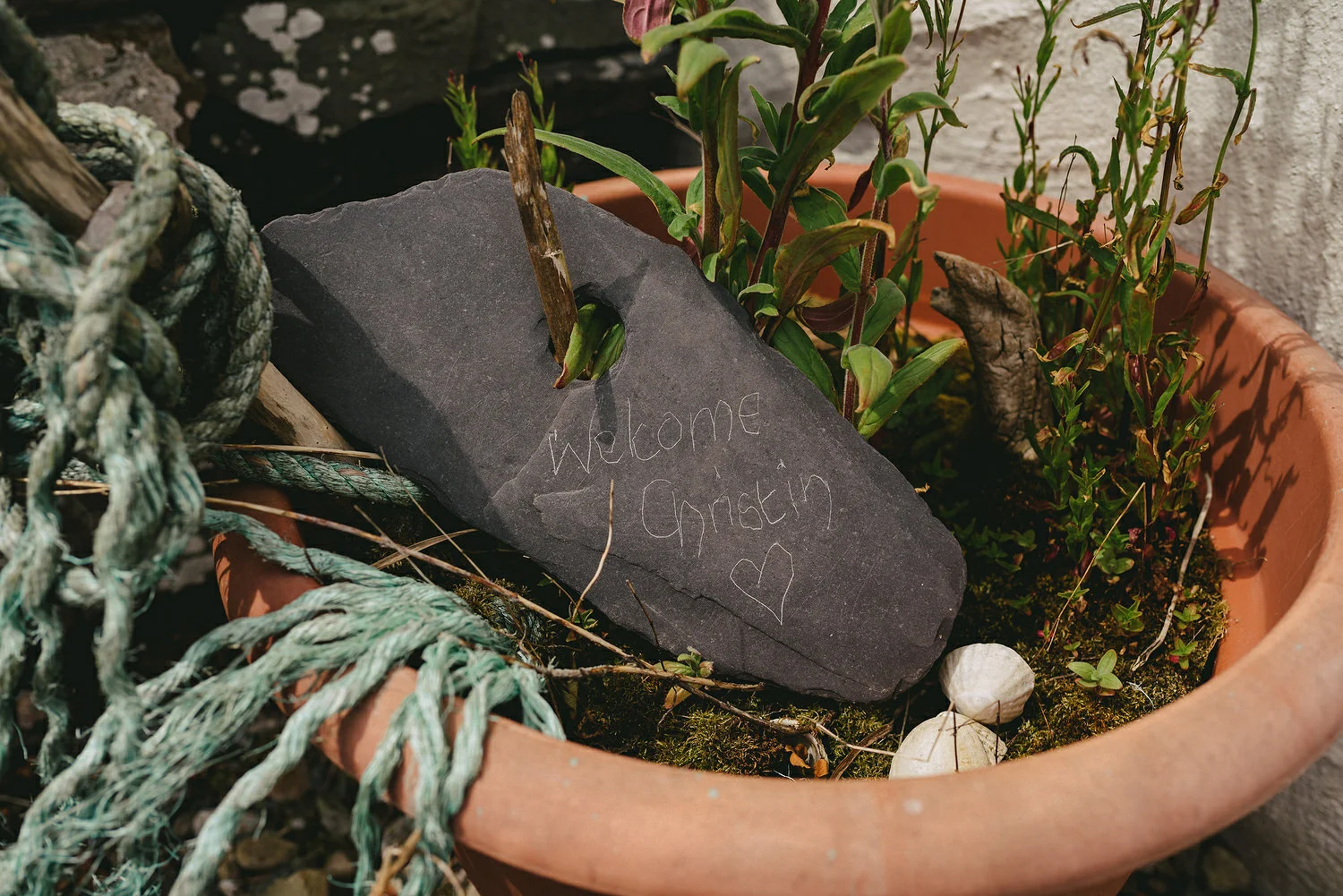  Reclamation dress, Wedding photography, Northern Ireland, Boho, Ireland, Alternative, Field of Dreams,  