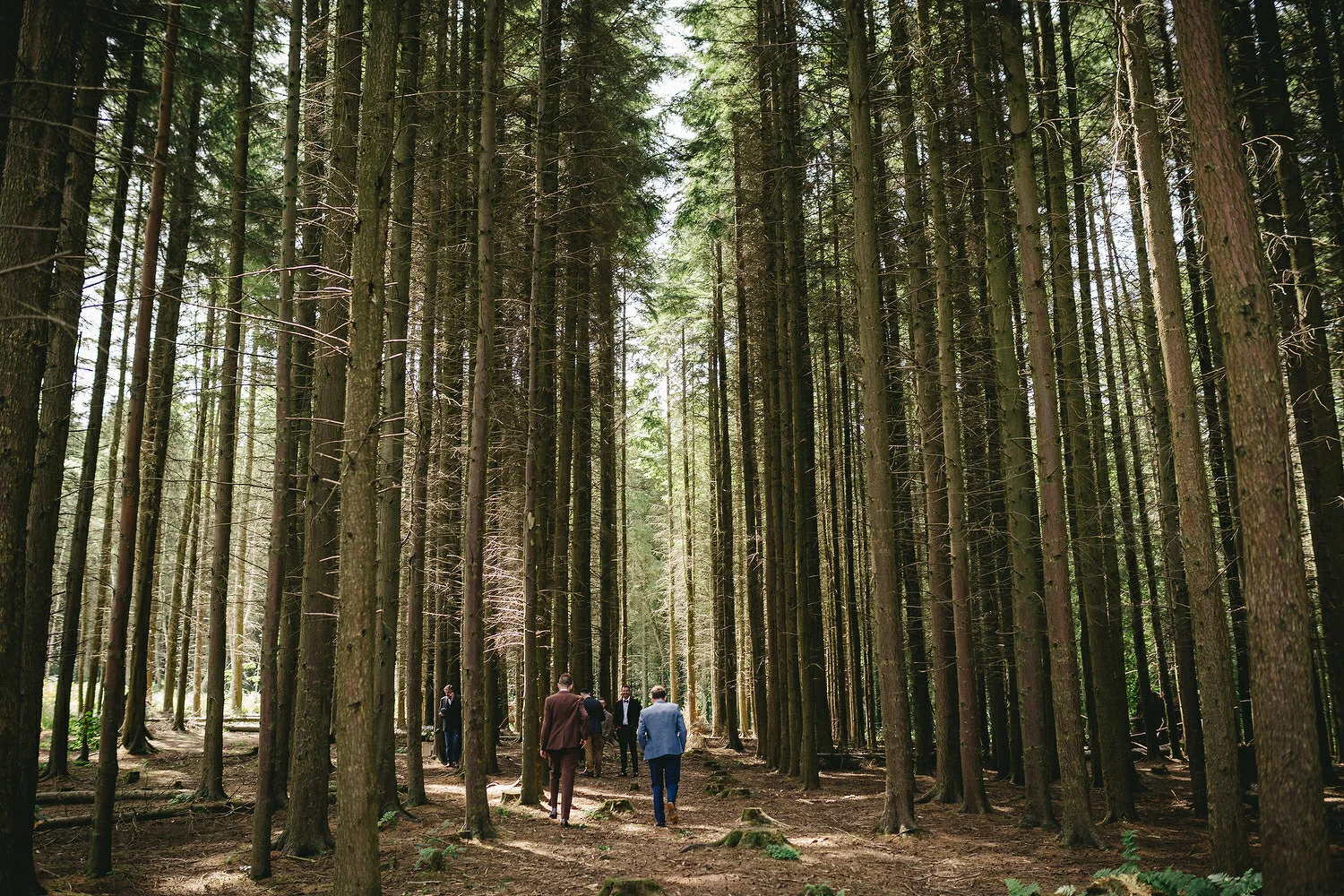  Reclamation dress, Wedding photography, Northern Ireland, Boho, Ireland, Alternative, Field of Dreams,  