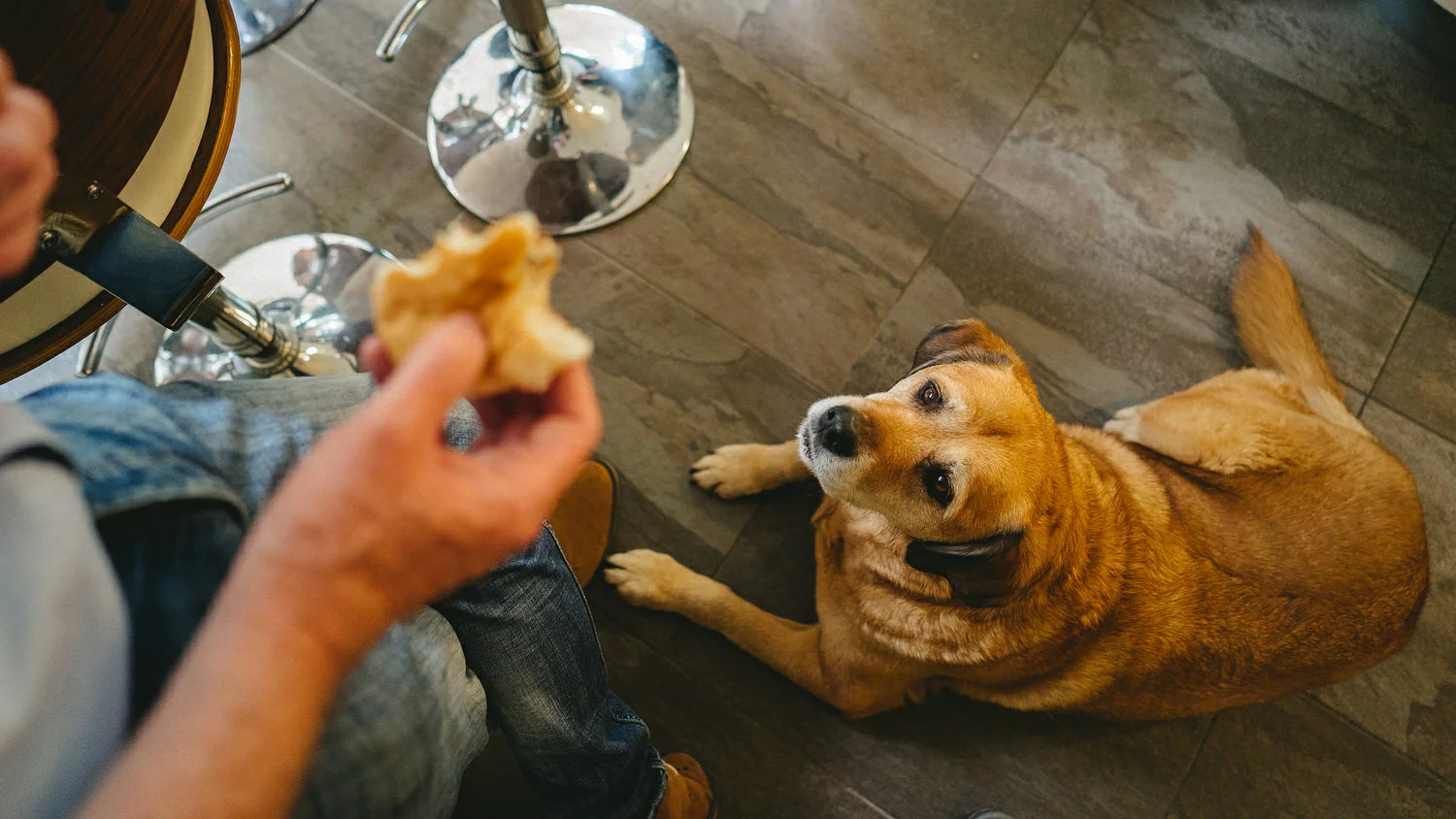  Reclamation dress, Wedding photography, Northern Ireland, Boho, Ireland, Alternative, Field of Dreams,  