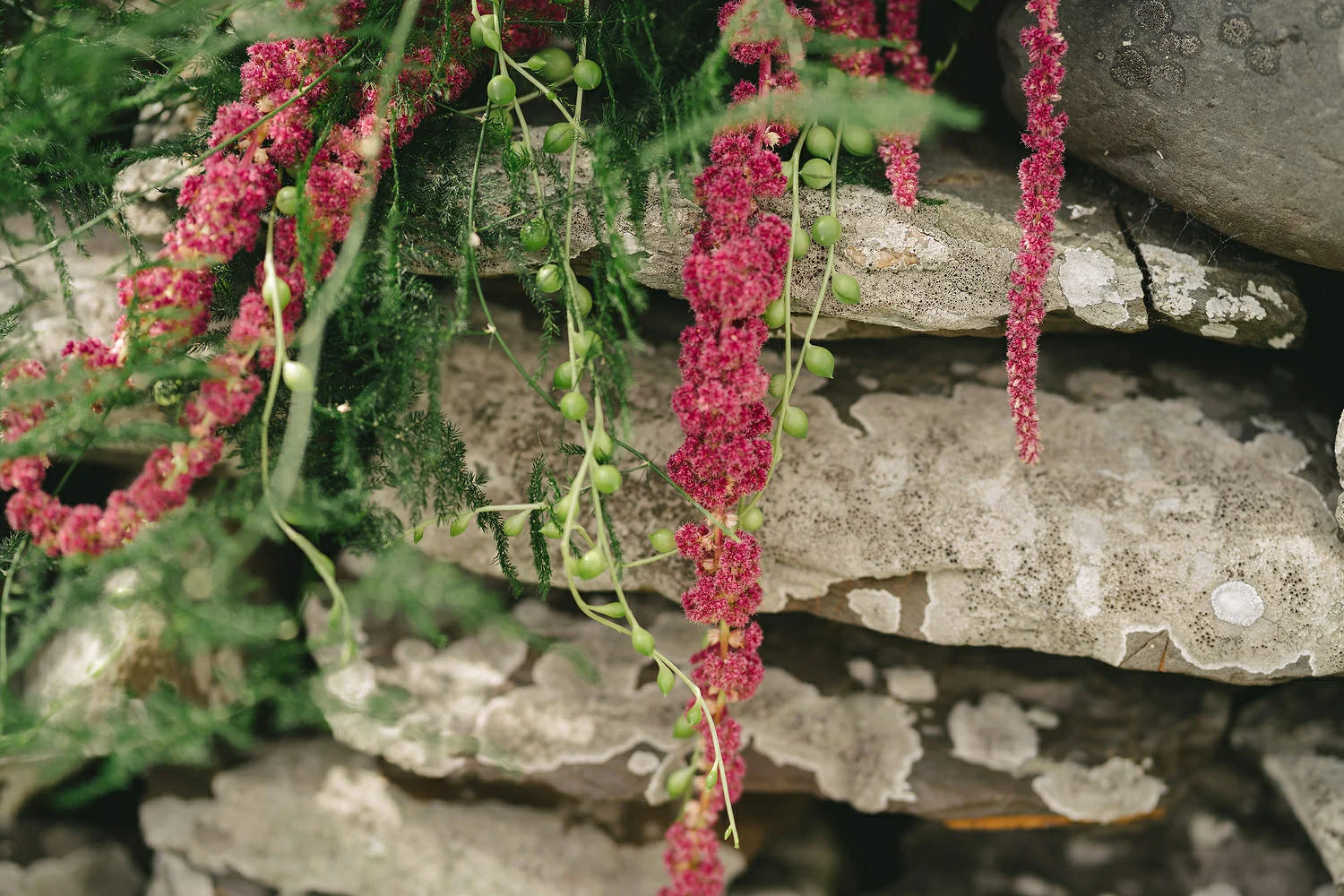  Reclamation dress, Wedding photography, Northern Ireland, Boho, Ireland, Alternative, Field of Dreams,  