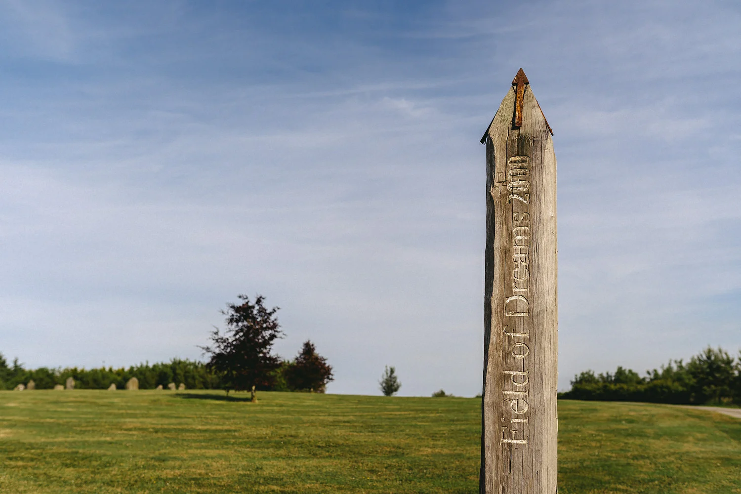 Reclamation dress, Wedding photography, Northern Ireland, Boho, Ireland, Alternative, Field of Dreams,  
