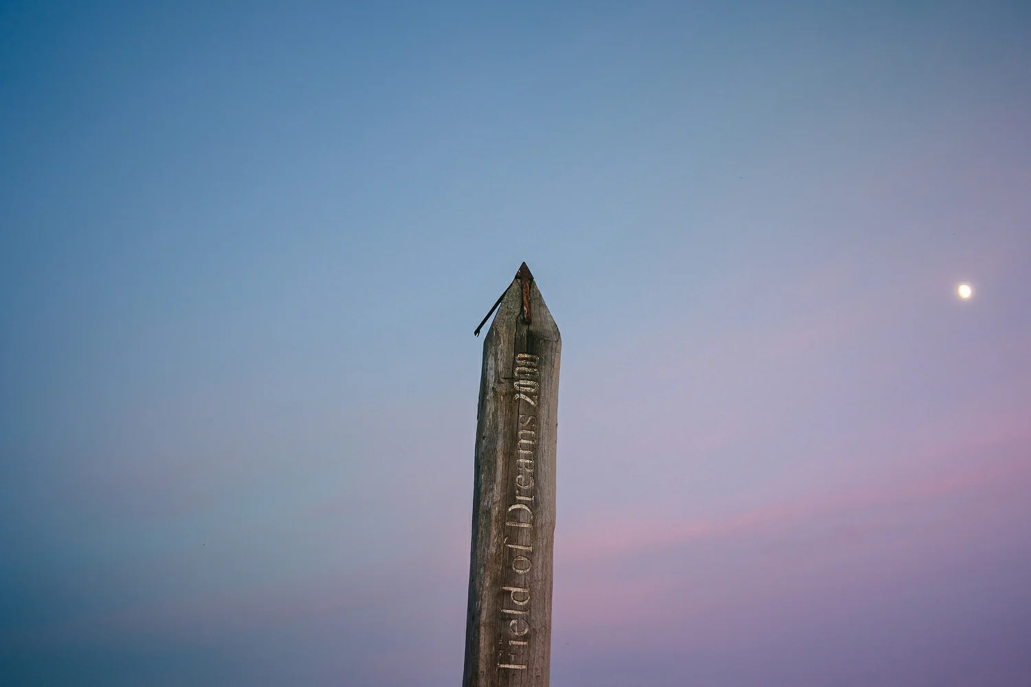  Reclamation dress, Wedding photography, Northern Ireland, Boho, Ireland, Alternative, Field of Dreams,  