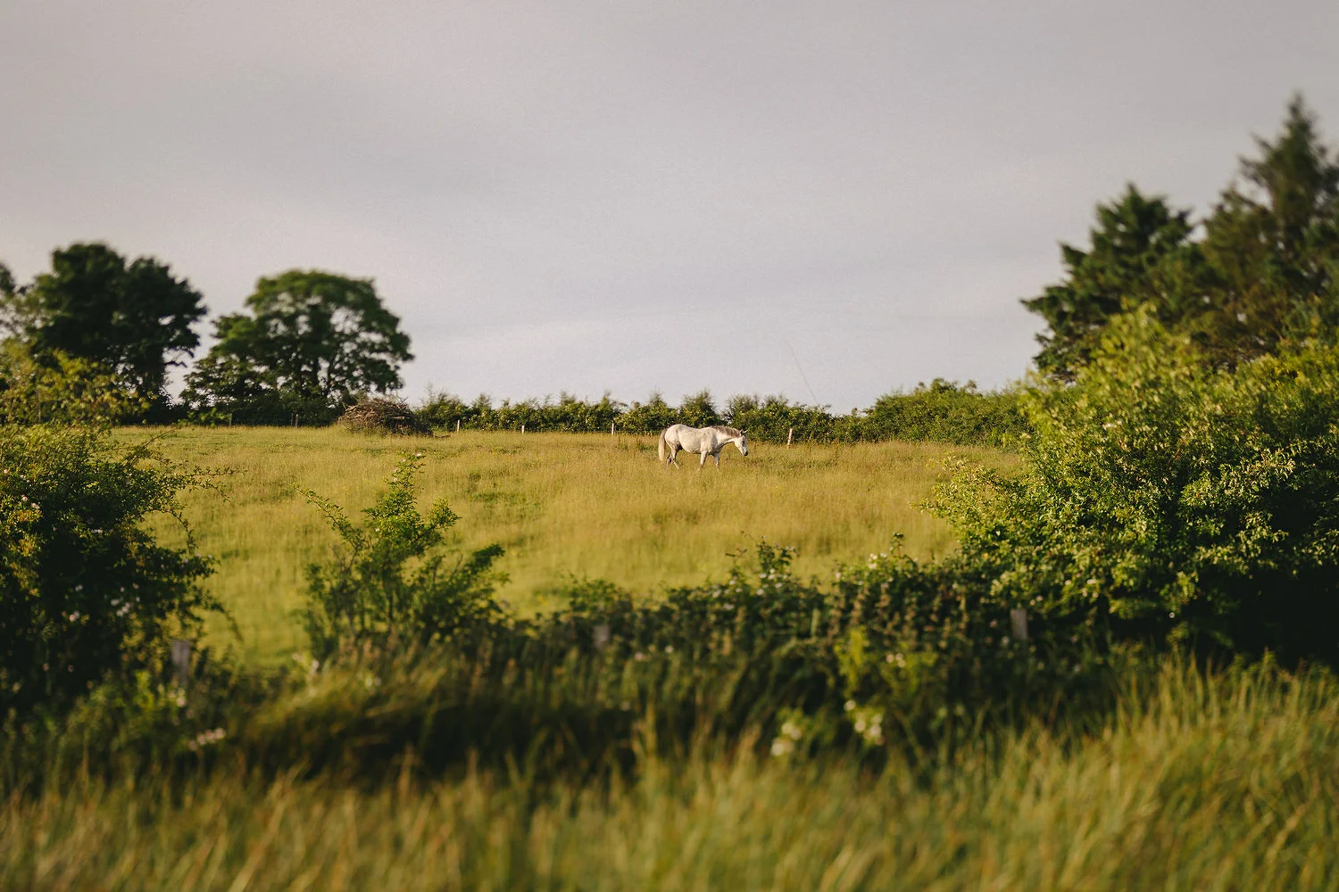  Reclamation dress, Wedding photography, Northern Ireland, Boho, Ireland, Alternative, Field of Dreams,  