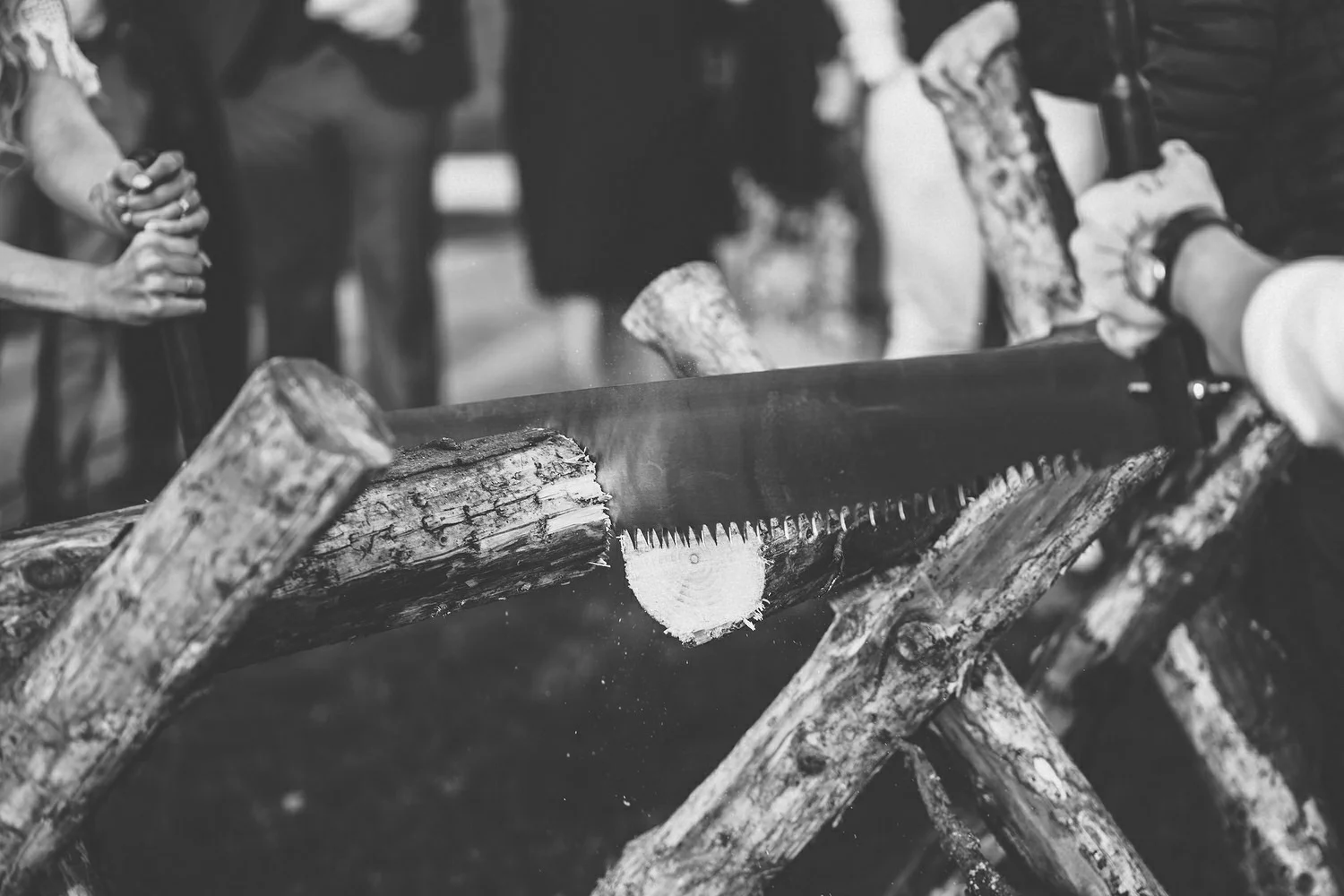  Traditional German Log Cutting Ceremony. Log Sawing wedding tradition Germany 