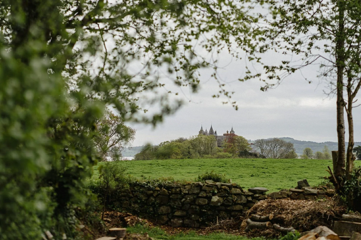 Finnebrogue Woods Outdoor Wedding Photos 001.JPG