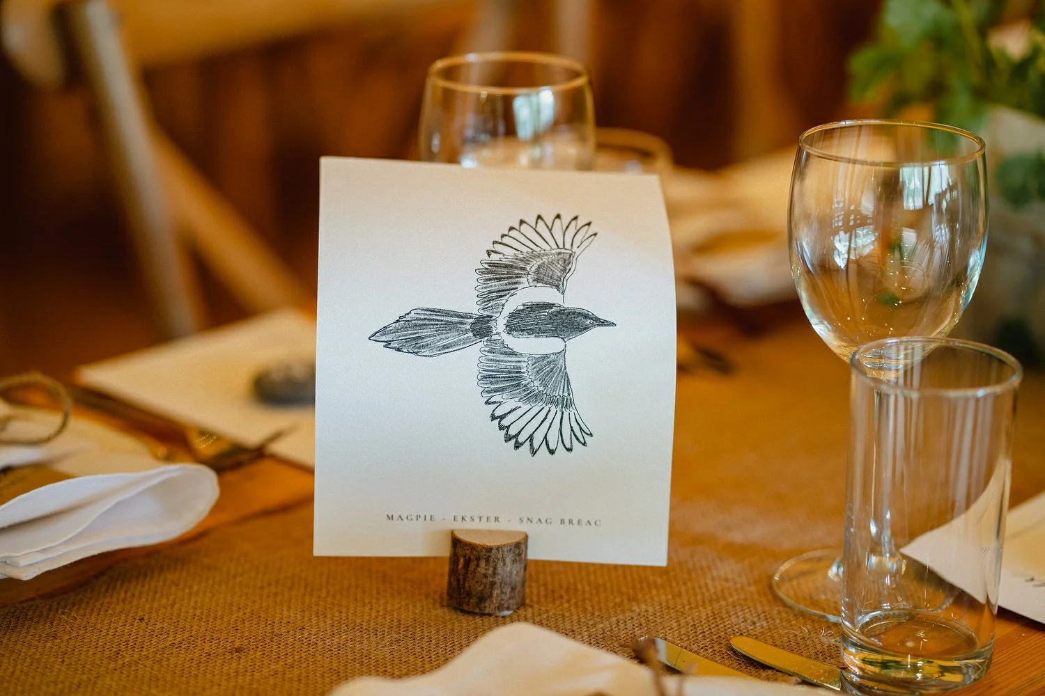 Finnebrogue Woods Outdoor Wedding Photos 137.JPG