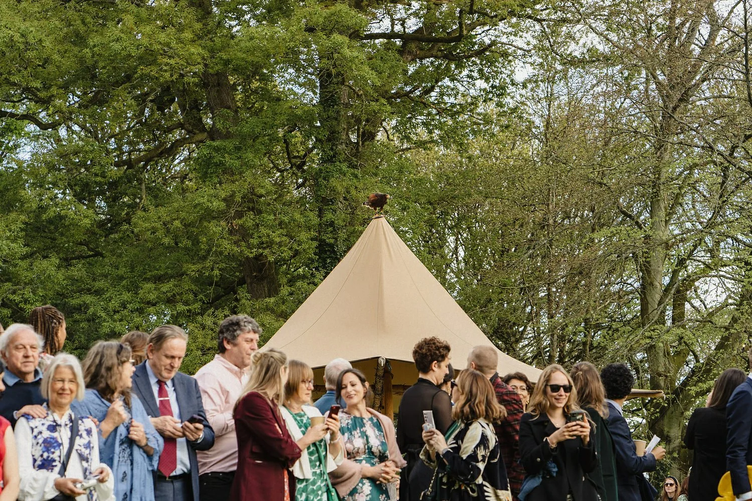 Finnebrogue Woods Outdoor Wedding Photos 105.JPG