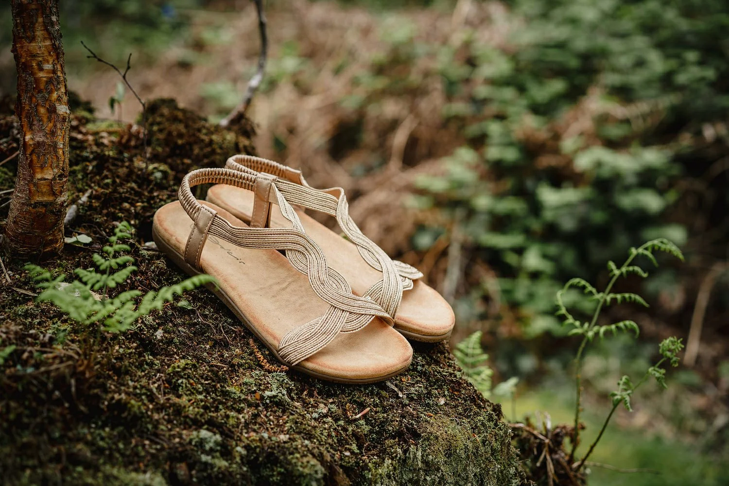 Finnebrogue Woods Outdoor Wedding Photos 017.JPG