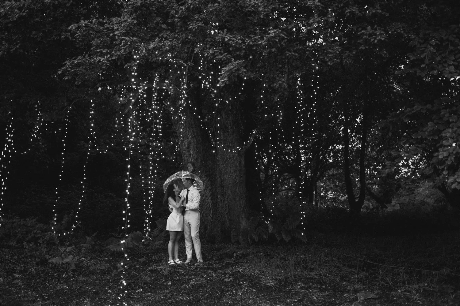 Finnebrogue Woods Wedding - Katie and James 195.JPG