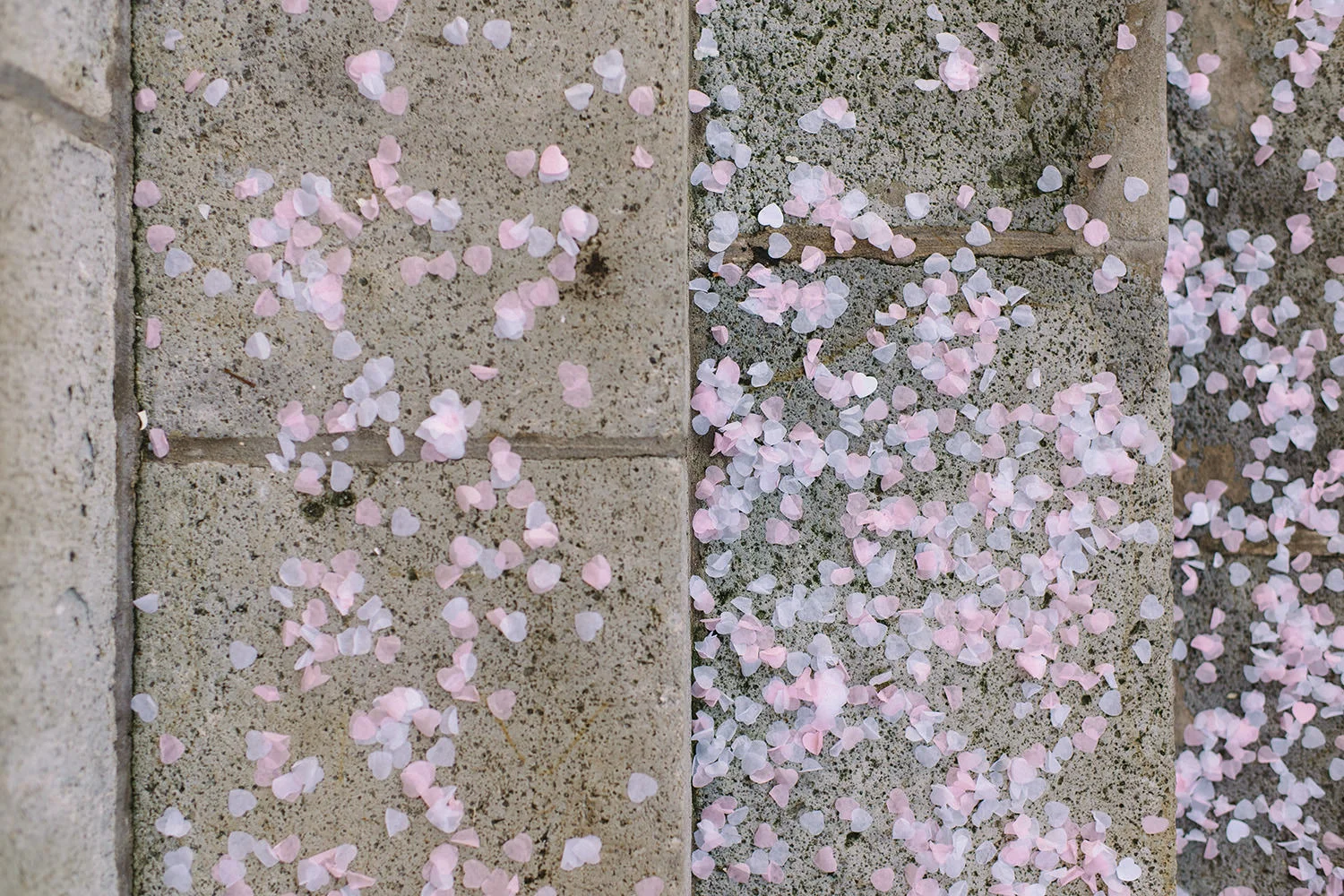  Northern Ireland Wedding Photographers 