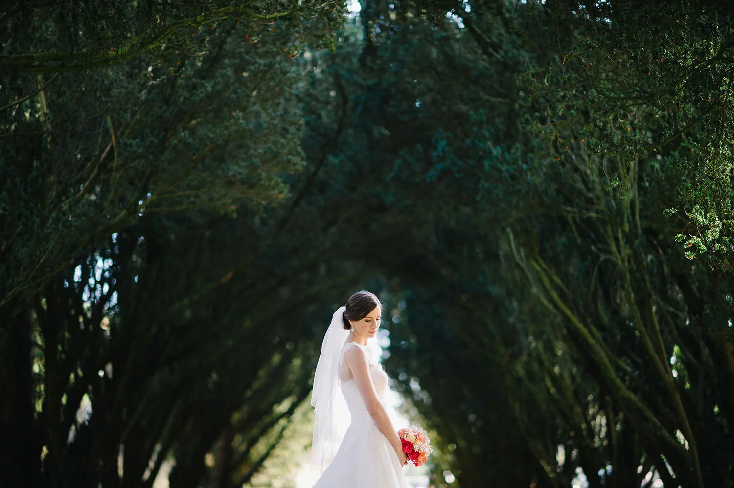  Northern Ireland Wedding Photographers 