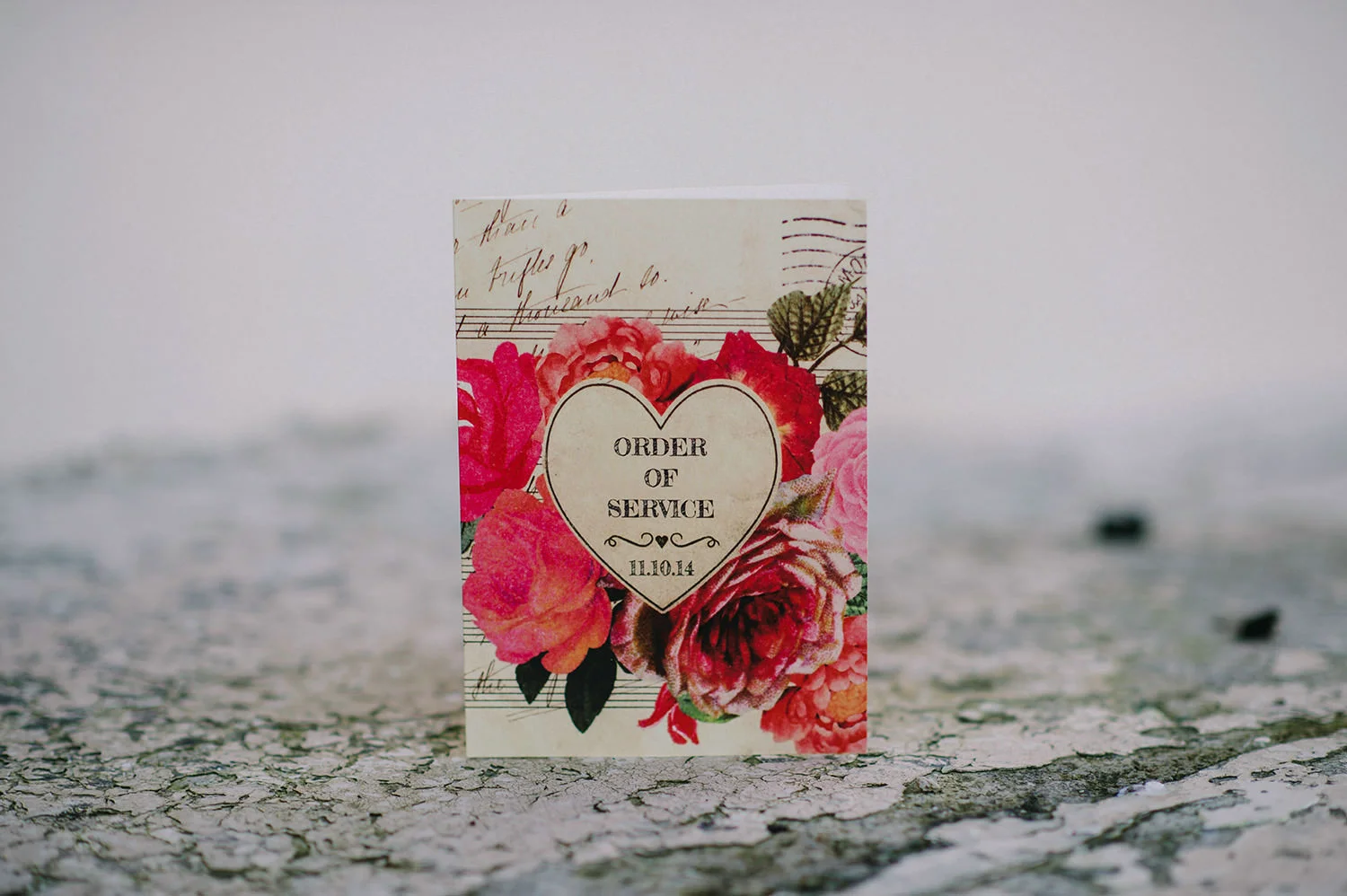  Northern Ireland Wedding Photographers 