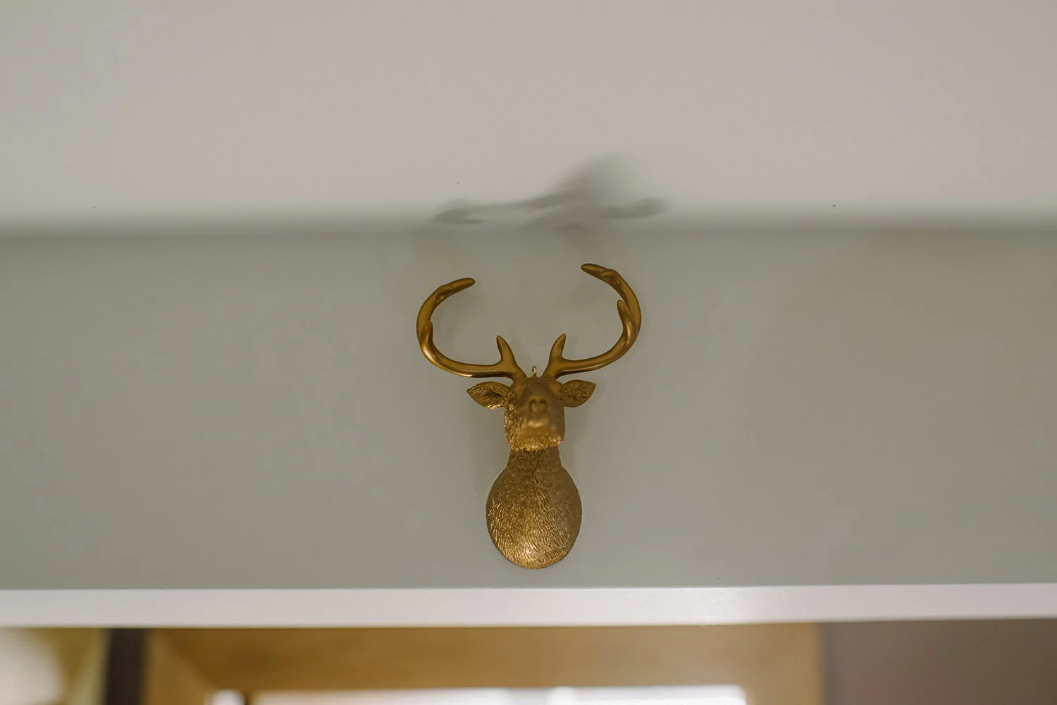  Northern Ireland Wedding Photographers 