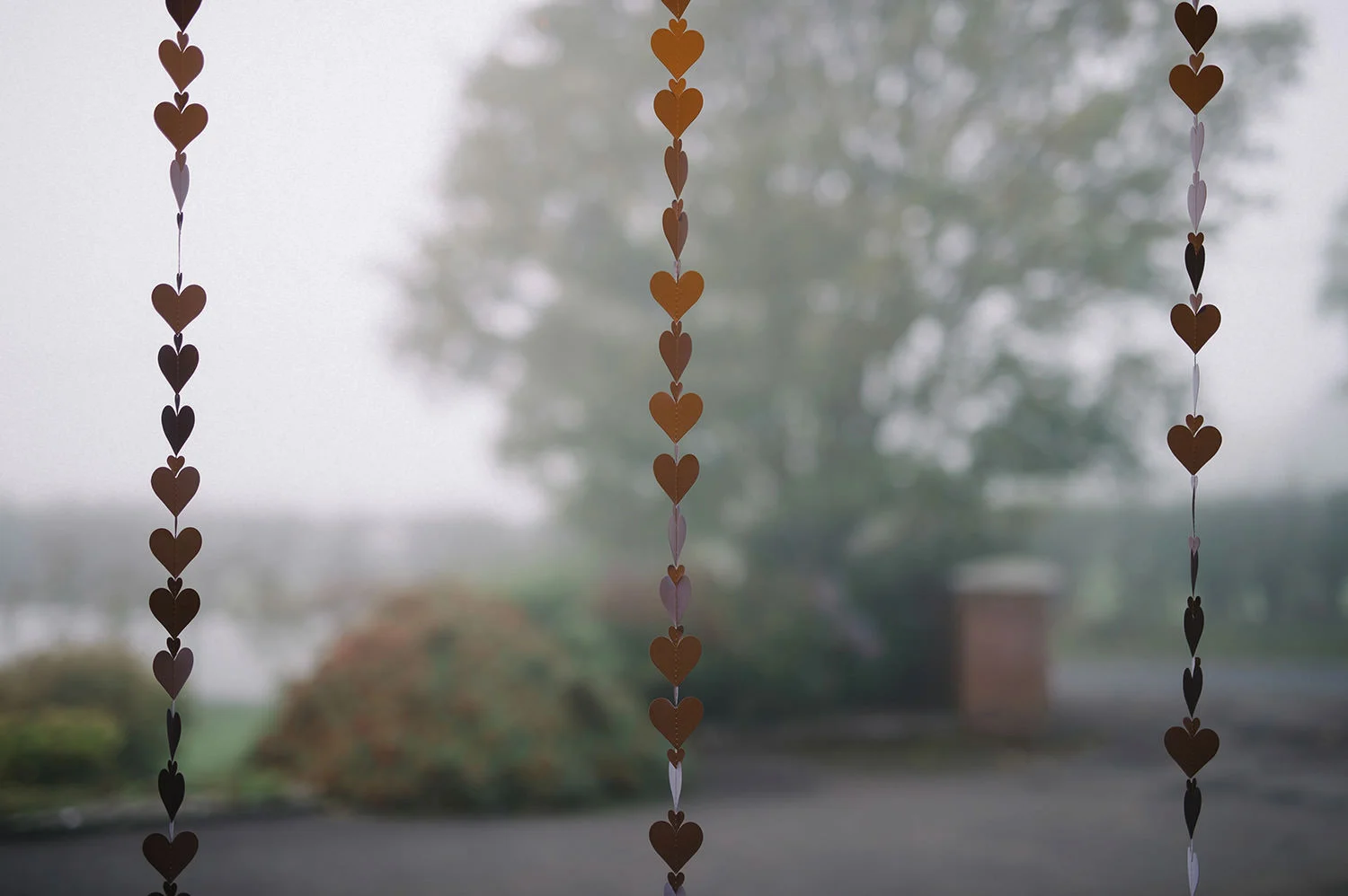  Northern Ireland Wedding Photographers 