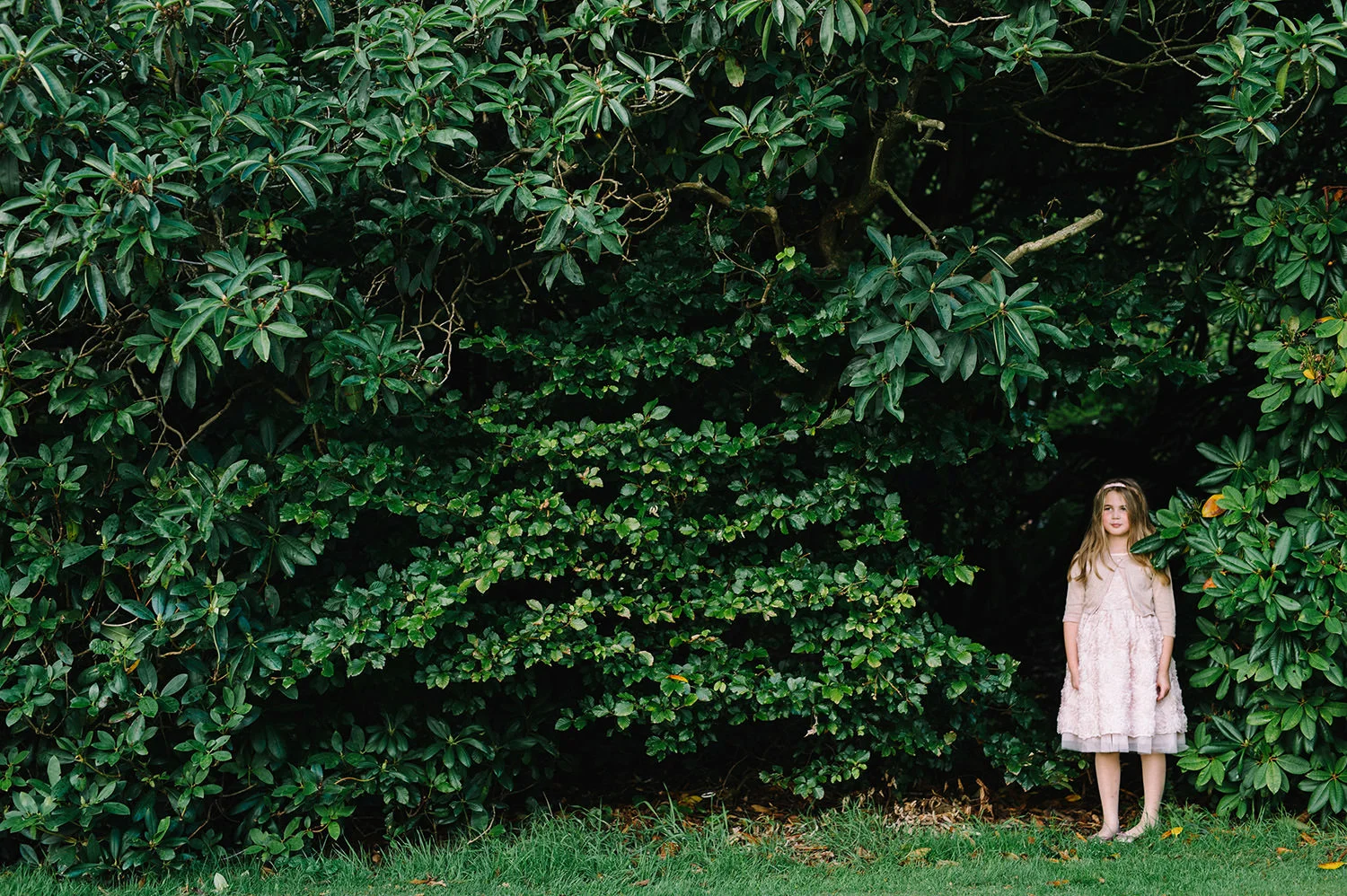  Northern Ireland Wedding Photographers 