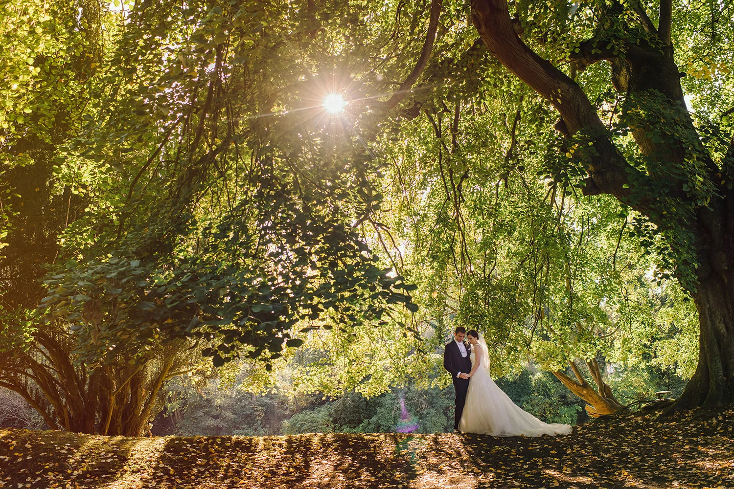  Northern Ireland Wedding Photographers 