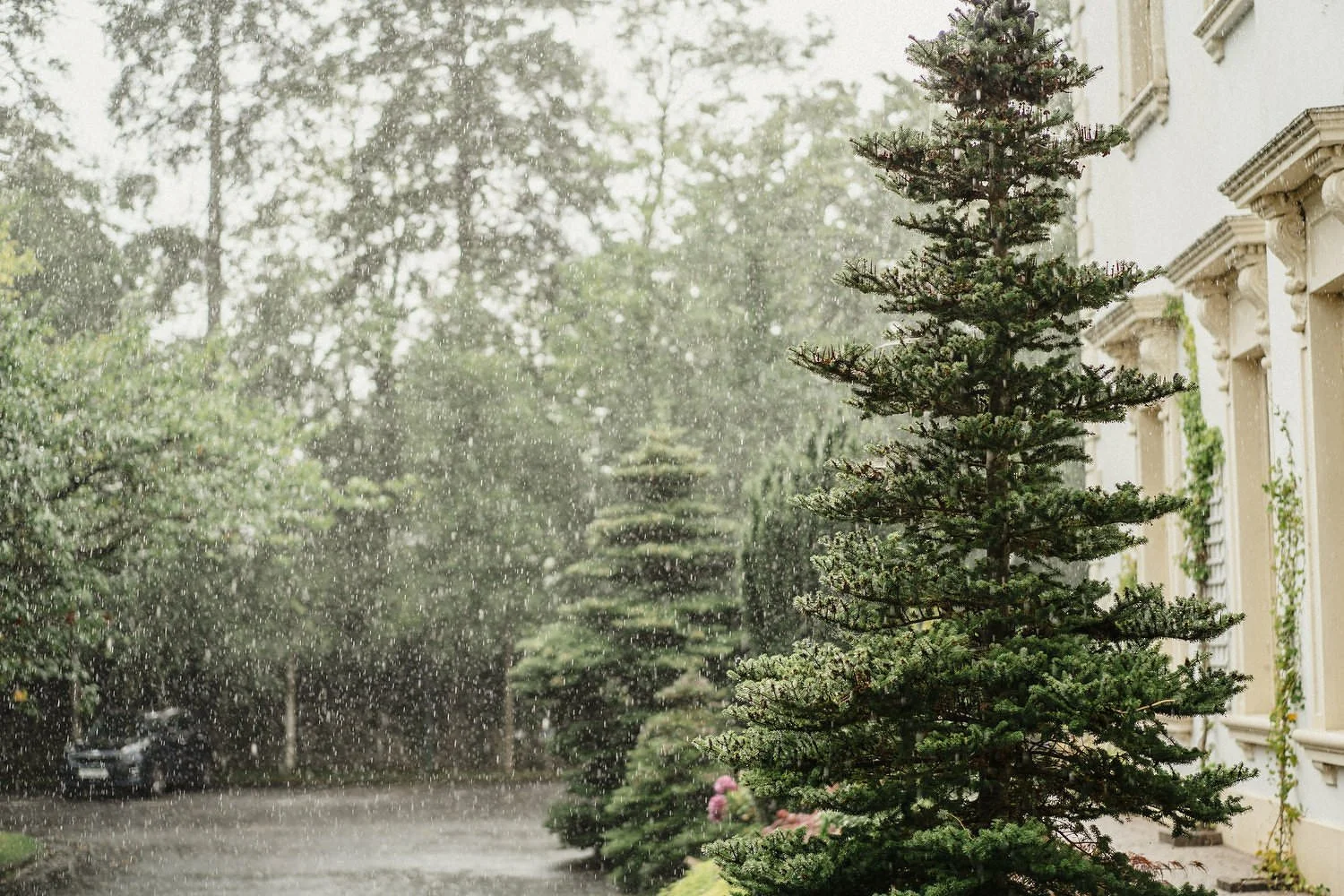 Galgorm Wedding Photos - Emma-Rose and Ambrish 111.JPG