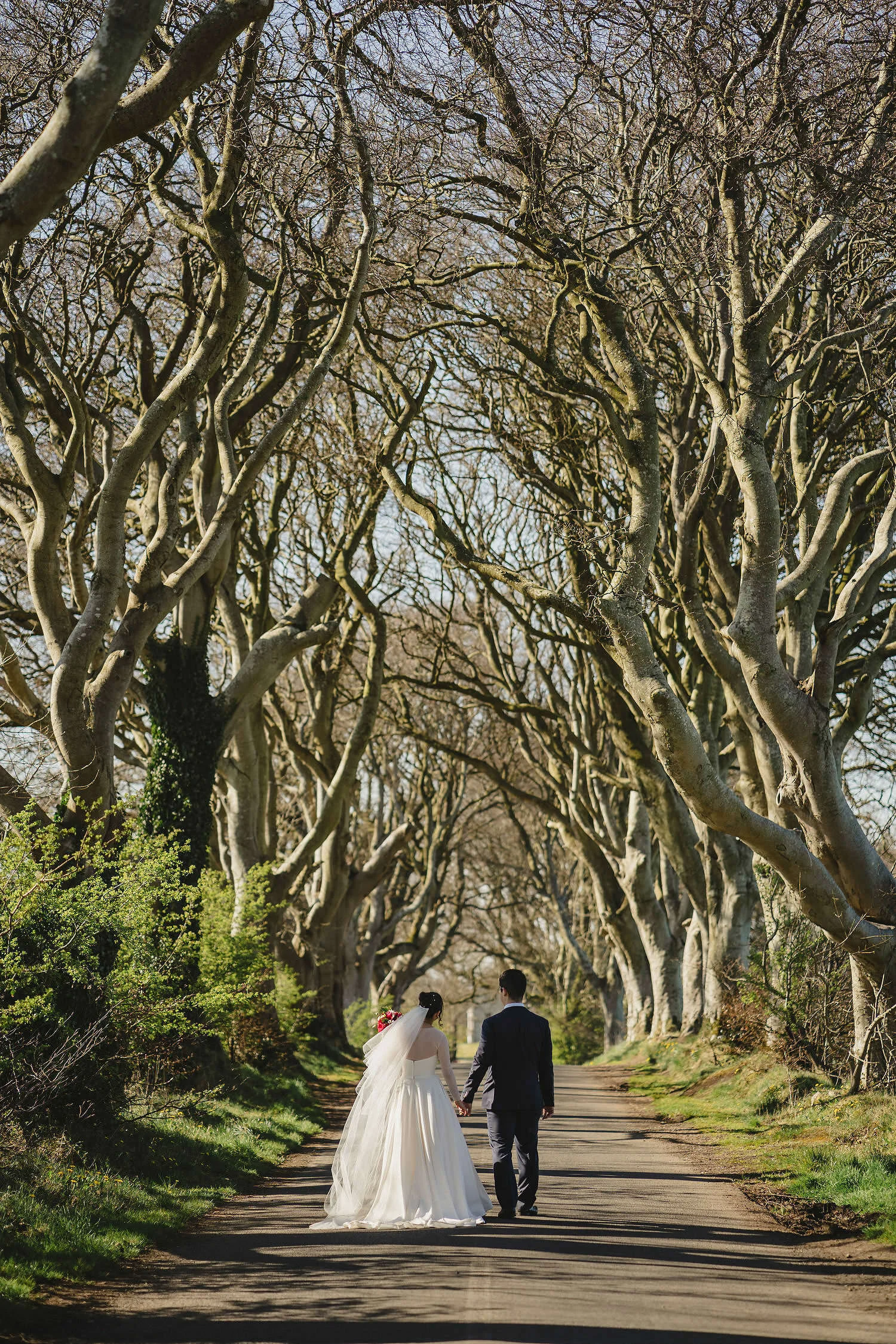 Dark Hedges wedding photos 002.JPG