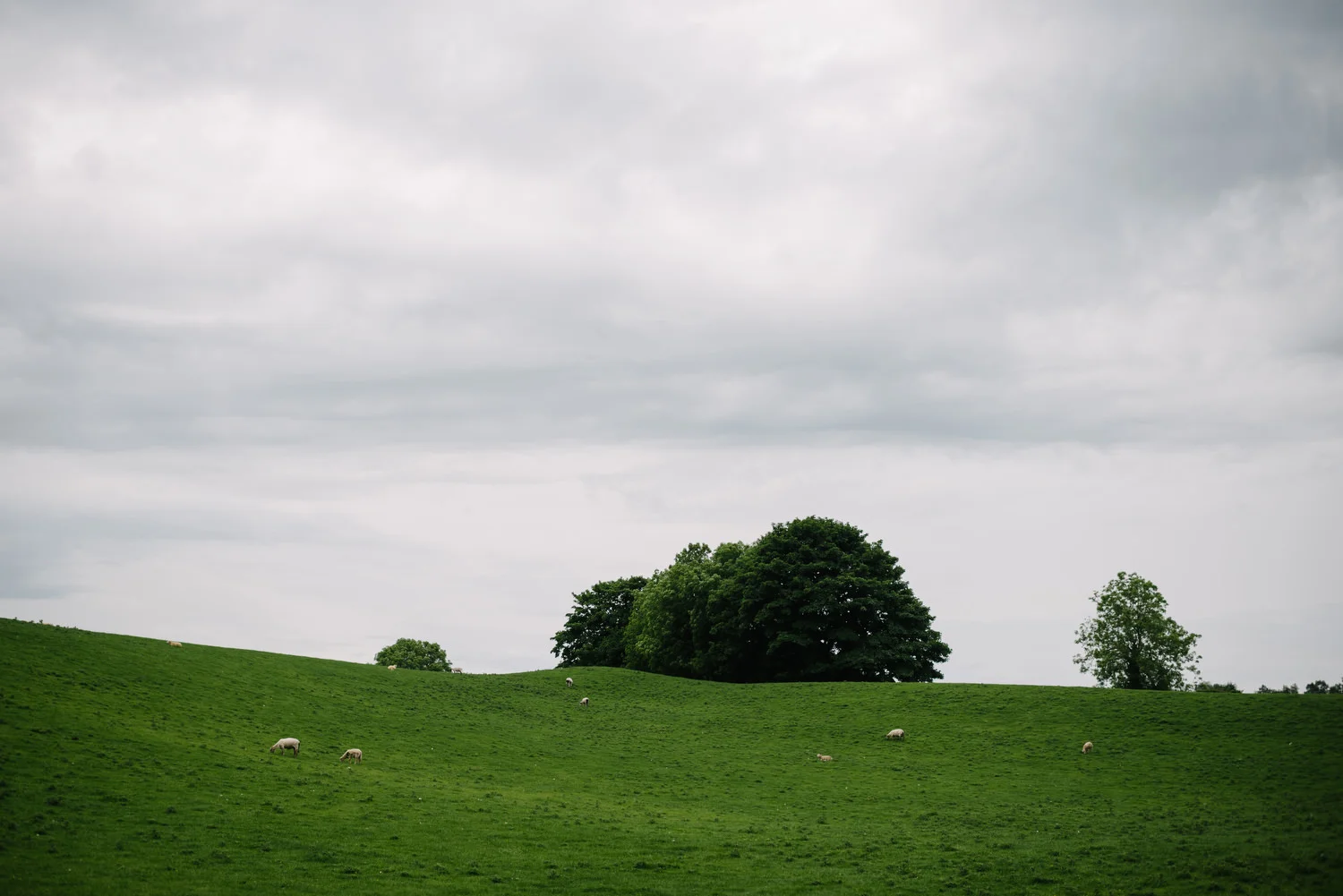  Harvey's Point Donegal Wedding Photos  