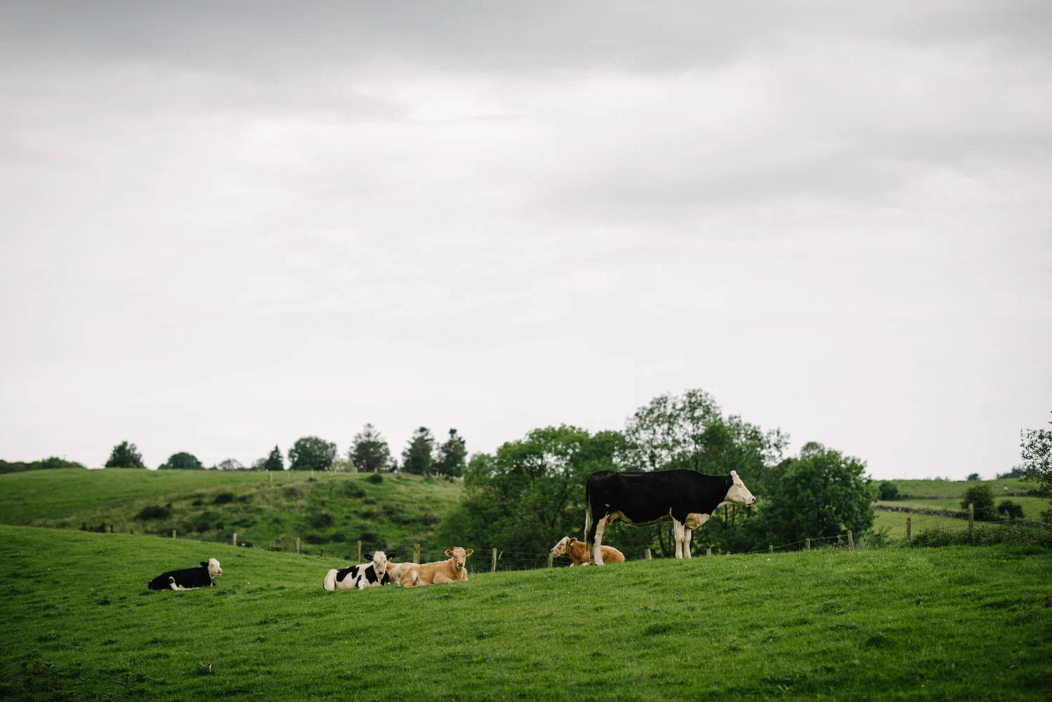  Harvey's Point Donegal Wedding Photos  