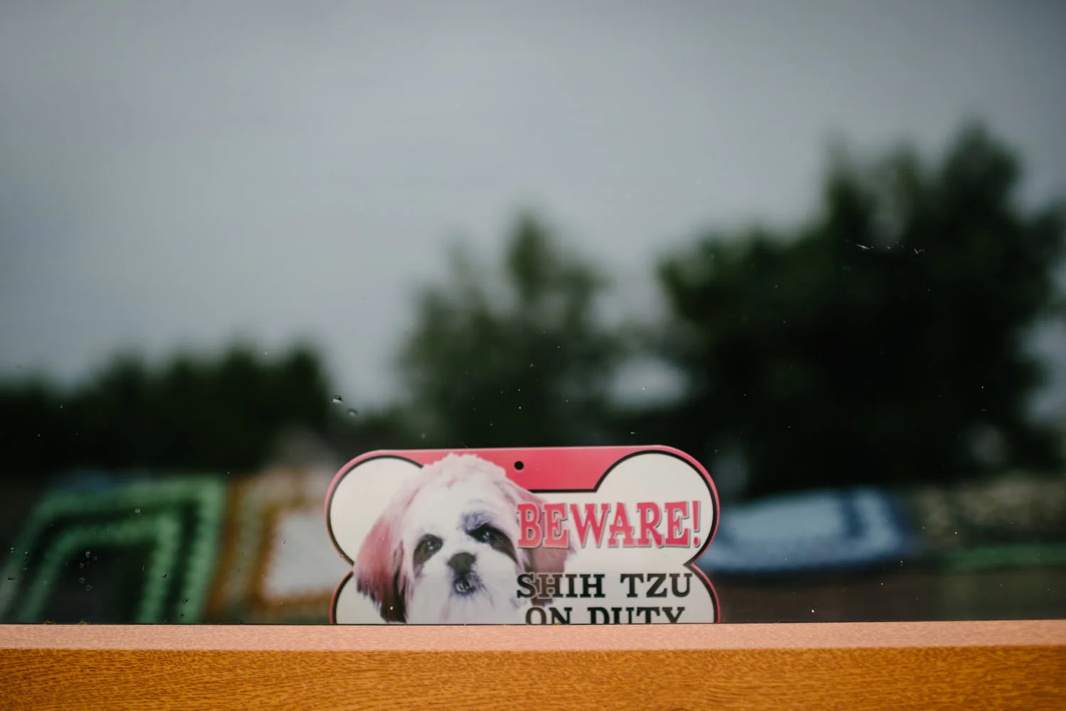  Harvey's Point Donegal Wedding Photos  