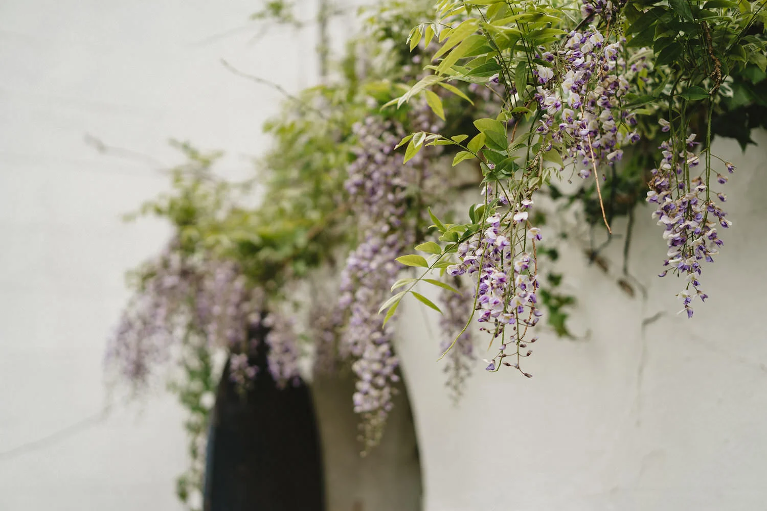 Hilden Brewery Lisburn wedding photographs 020.JPG