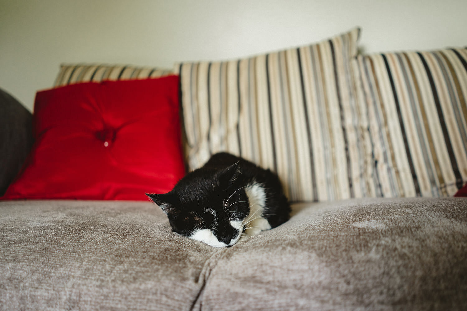 Hilden Brewery Lisburn wedding photographs 001.JPG