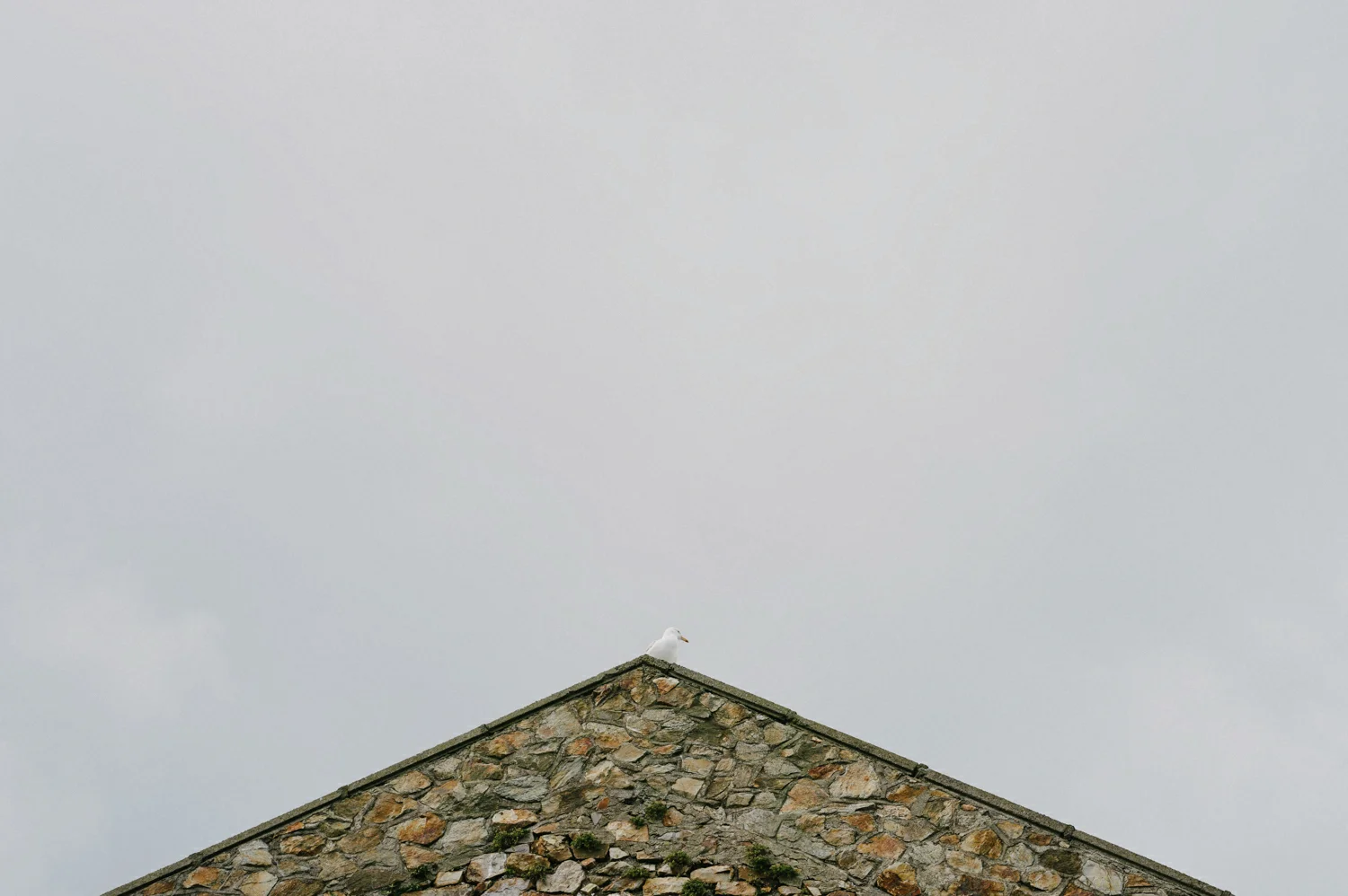 Howth Engagement Shoot Dublin 010.JPG