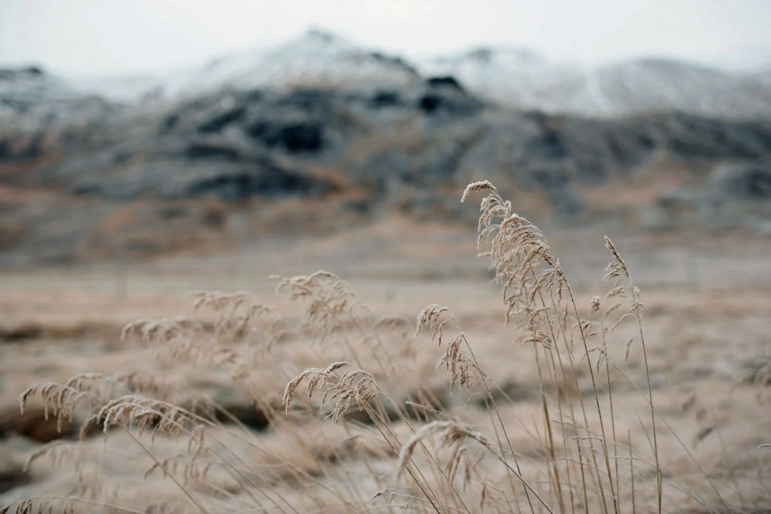  Wedding and elopement photographers and  photography, Iceland.  English speaking wedding photographers Iceland. 