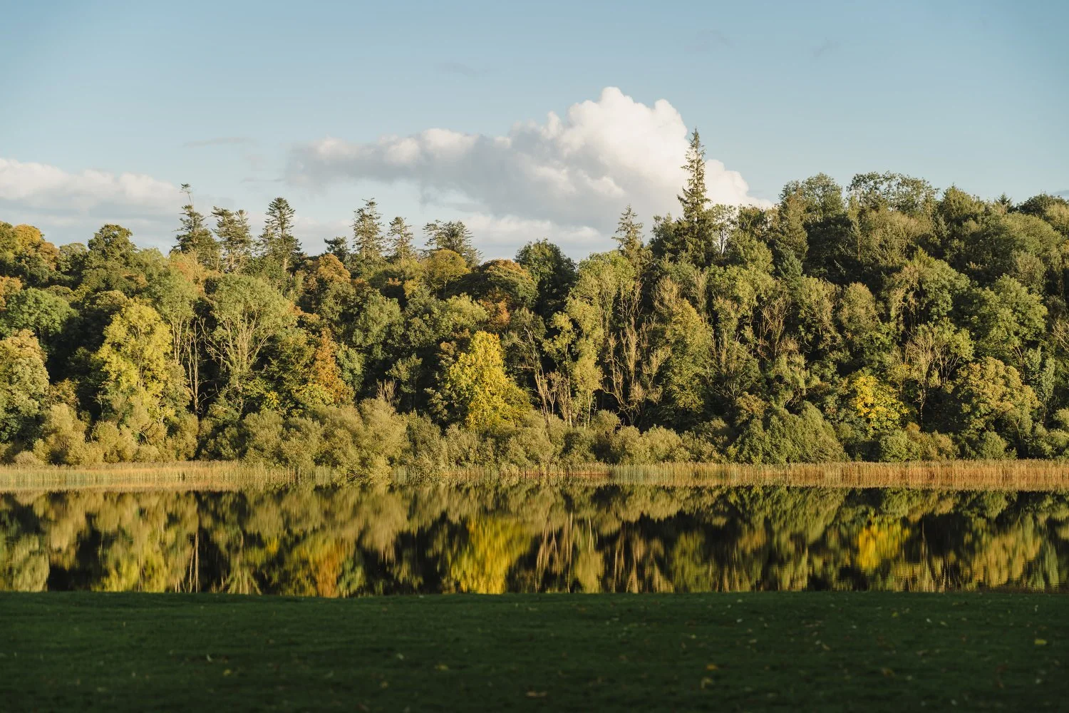 Janet and Daniel Castle Leslie Estate Wedding 138.JPG