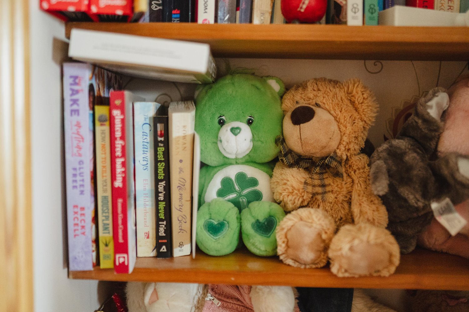 Janet and Daniel Castle Leslie Estate Wedding 006.JPG