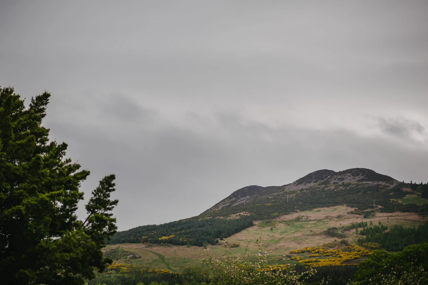  Northern Ireland Wedding Photographers Photography Kilruddery House and Gardens Wicklow Killruddery 