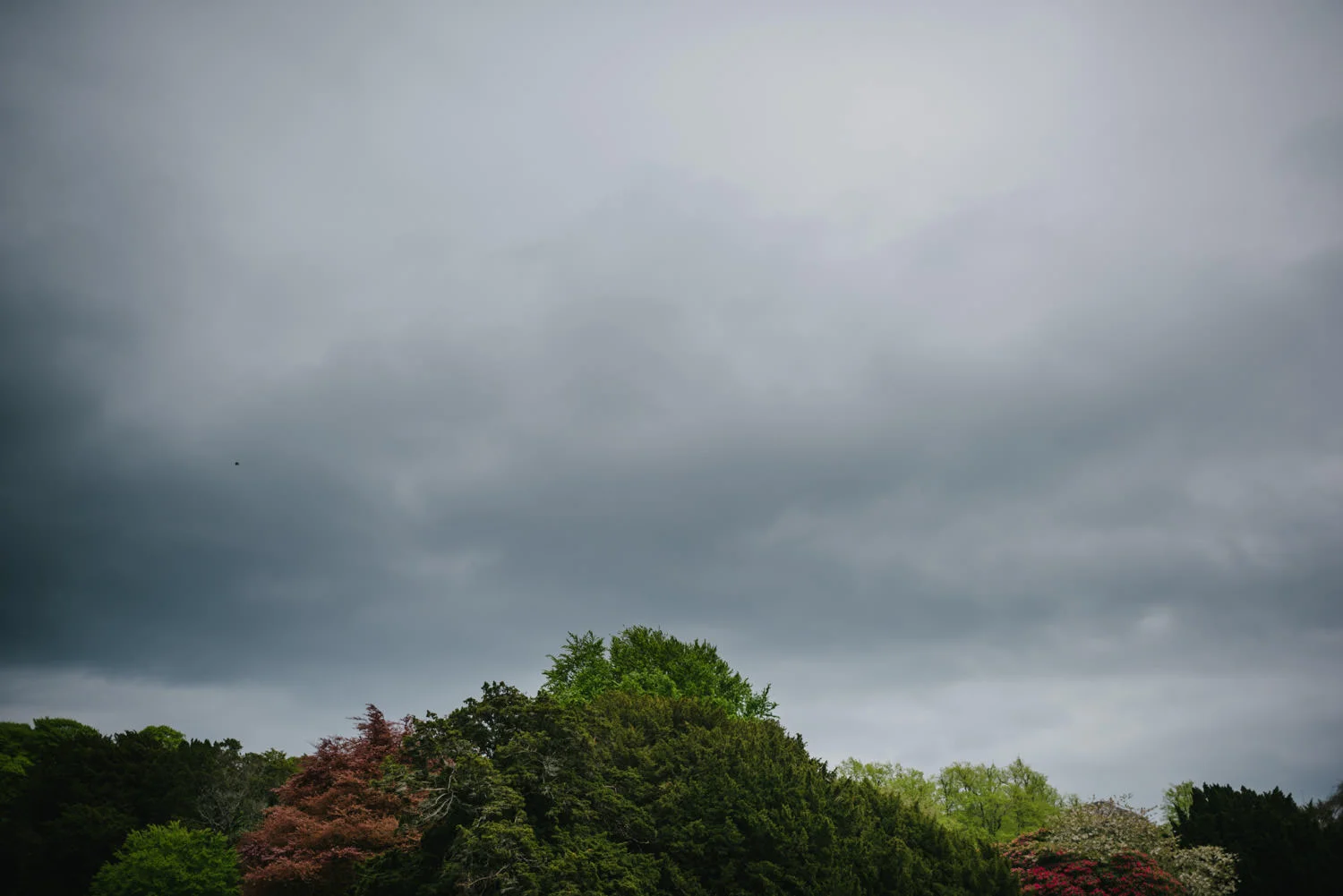  Northern Ireland Wedding Photographers Photography Kilruddery House and Gardens Wicklow Killruddery 