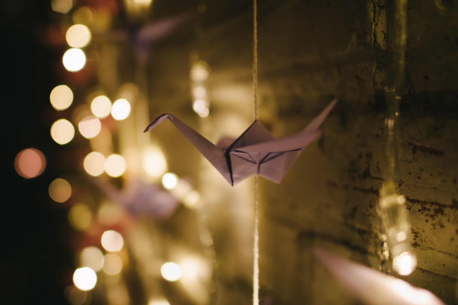  Northern Ireland Wedding Photographers Photography Kilruddery House and Gardens Wicklow Killruddery 