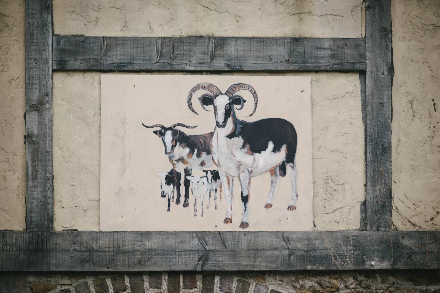  Northern Ireland Wedding Photographers Photography Kilruddery House and Gardens Wicklow Killruddery 