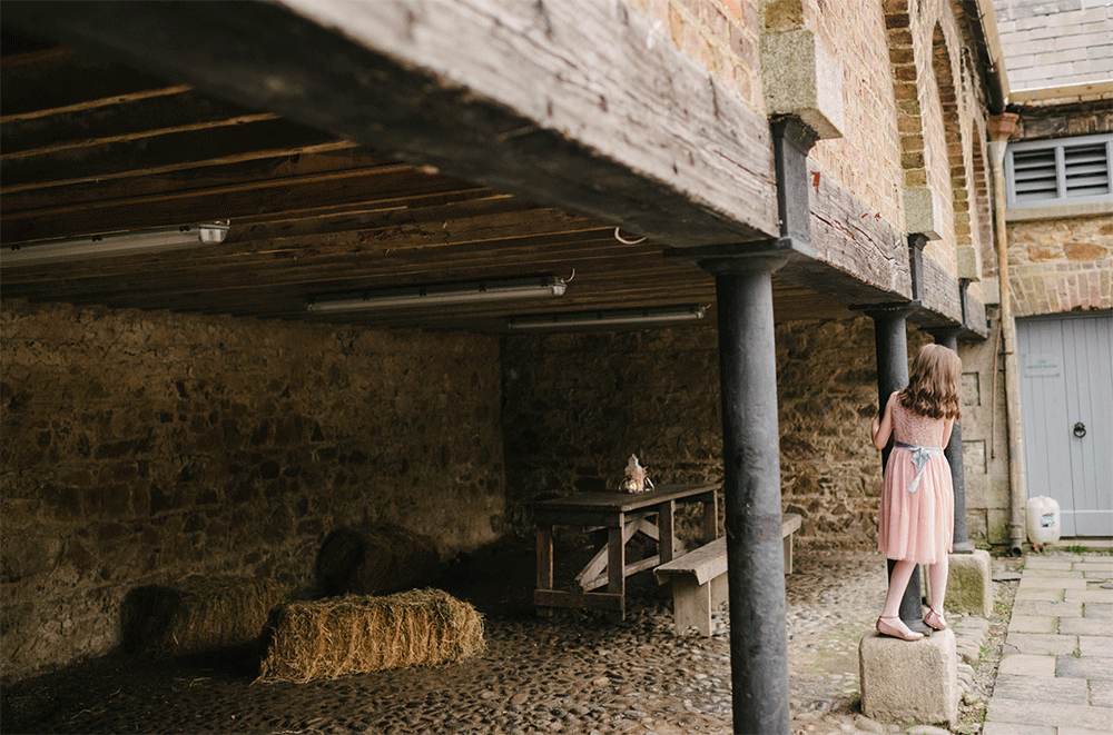 Killruddery House Wedding Photography Wicklow Ireland 179.GIF