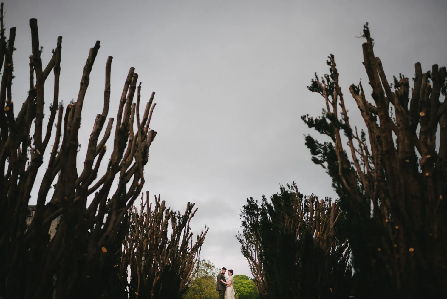 Northern Ireland Wedding Photographers Photography Kilruddery House and Gardens Wicklow Killruddery 