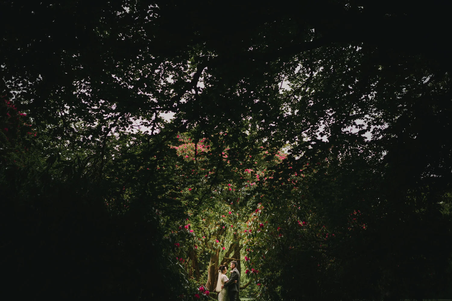  Northern Ireland Wedding Photographers Photography Kilruddery House and Gardens Wicklow Killruddery 