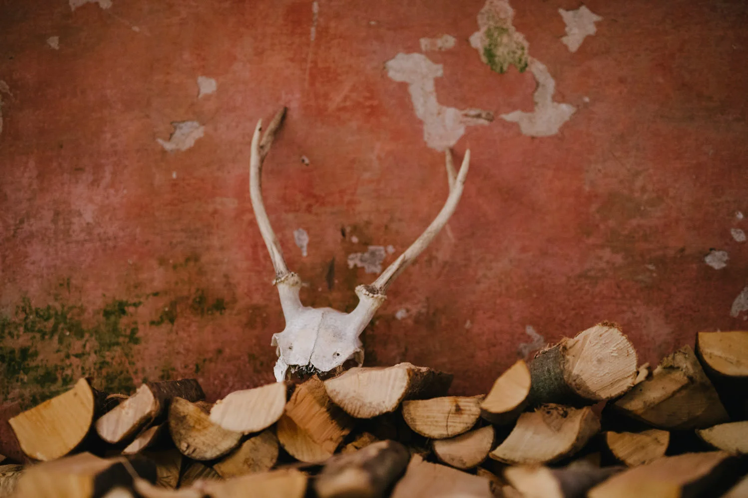  Northern Ireland Wedding Photographers Photography Kilruddery House and Gardens Wicklow Killruddery 