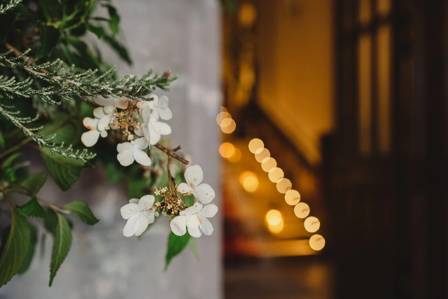  Triona and Riley’s wedding in the gorgeous Markree Castle and estate in County Sligo, Ireland.  Their Irish American wedding ceremony and reception were all in the Castle. 