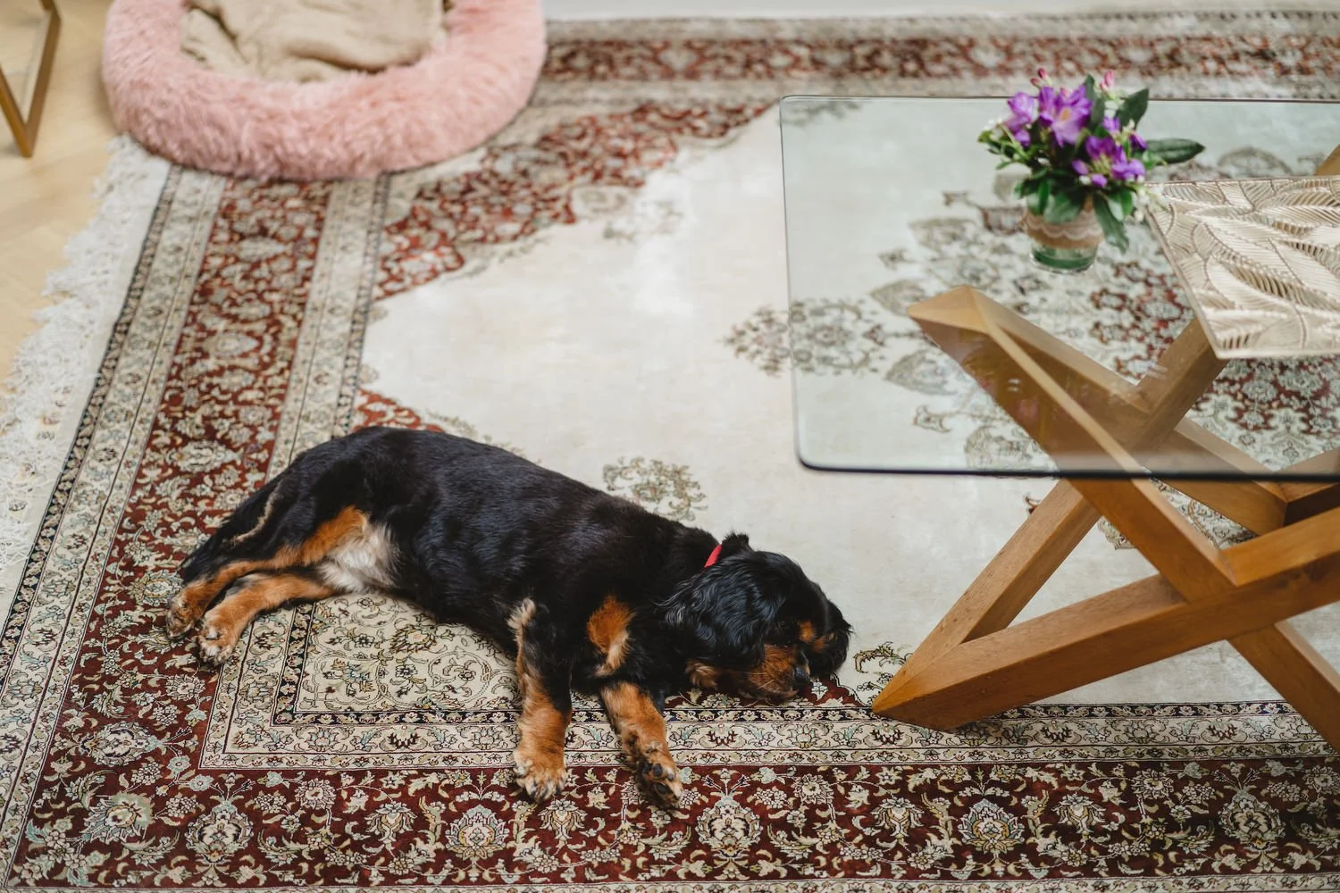  Triona and Riley’s wedding in the gorgeous Markree Castle and estate in County Sligo, Ireland.  Their Irish American wedding ceremony and reception were all in the Castle. 