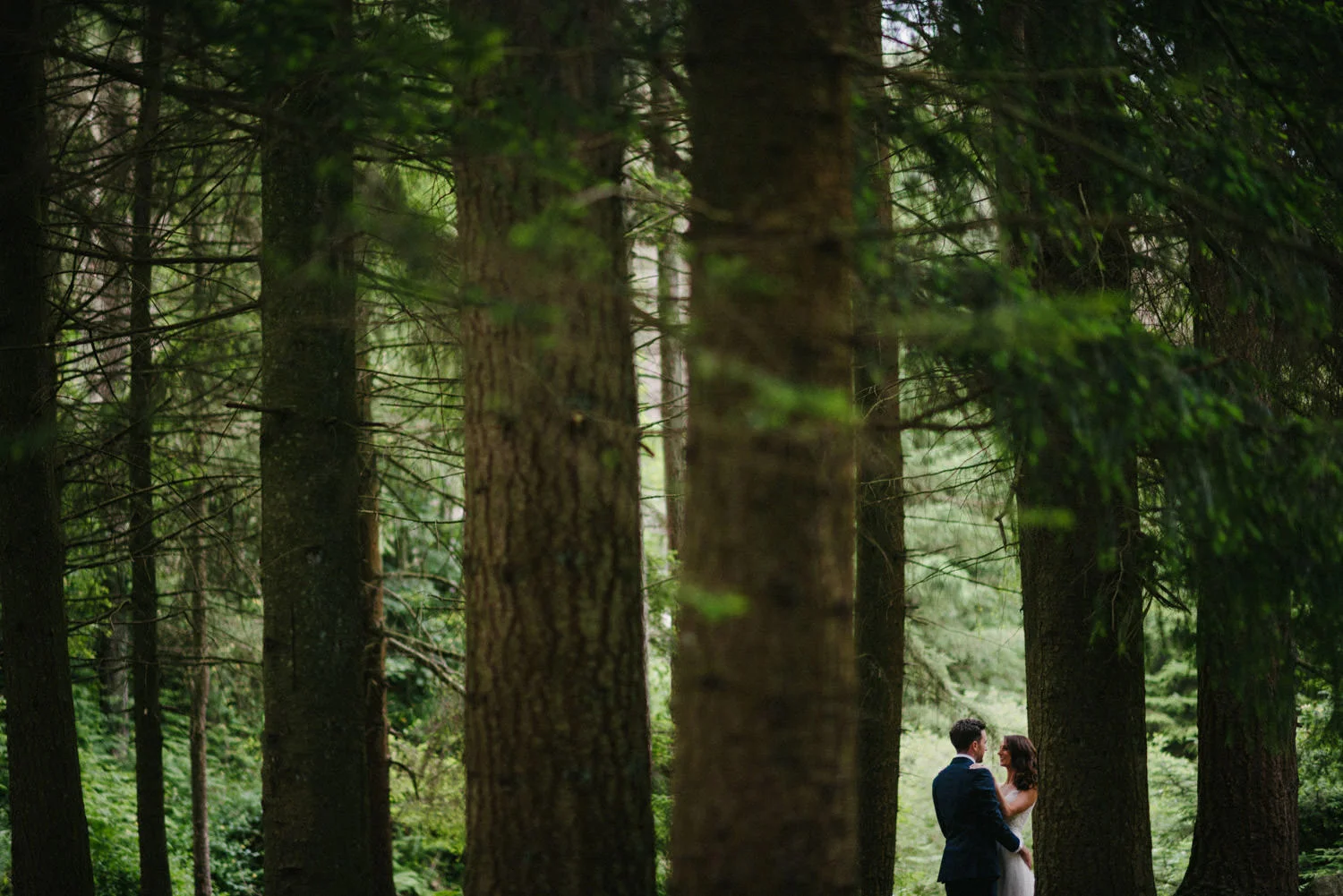  Wedding photography Northern Ireland Mary Catherine Cottage Mourne Mountains 
