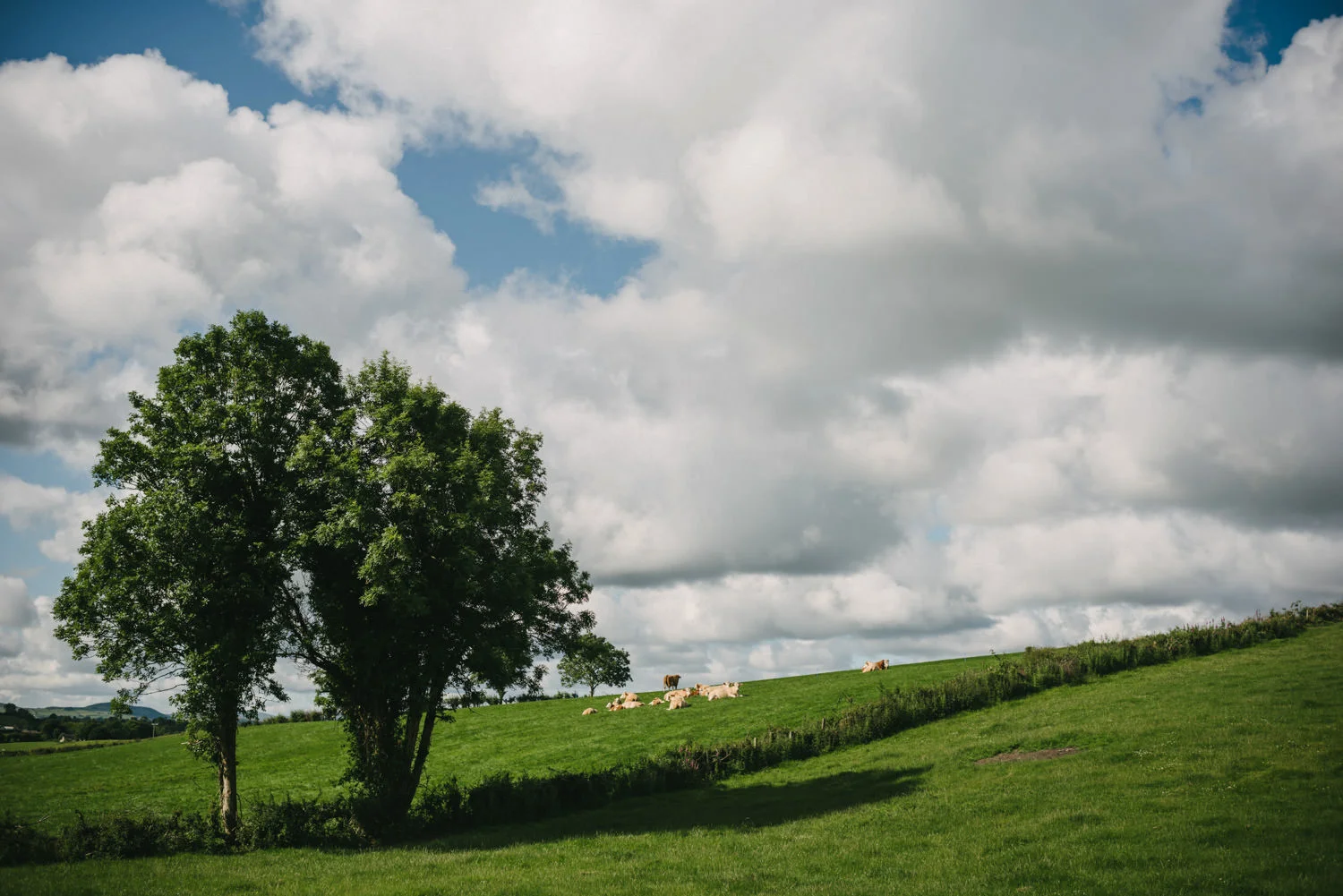  Wedding photography Northern Ireland Mary Catherine Cottage Mourne Mountains 